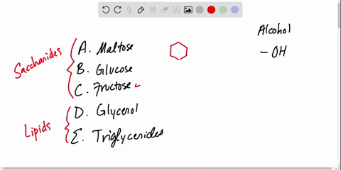 all-of-the-following-organic-compounds-contain-a-hydroxyl-functional-group-except-a-maltose-b-glucos
