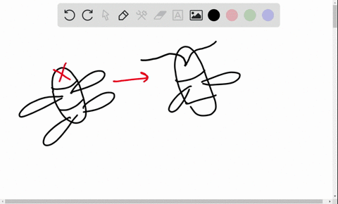 insects-have-three-thoracic-trunk-segments-while-researchers-have-found-insect-fossils-with-pairs--2