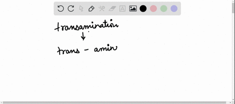 transamination-is-a-chemical-process-by-which-a-protein-is-synthesized-b-an-amine-group-is-transferr