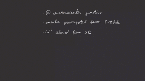 nervous-stimulation-of-muscles-a-occurs-at-a-neuromuscular-junction-b-results-in-an-impulse-that-tra