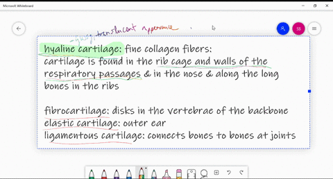 what-type-of-cartilage-is-found-in-the-rib-cage-and-walls-of-the-respiratory-passages-a-fibrocartila