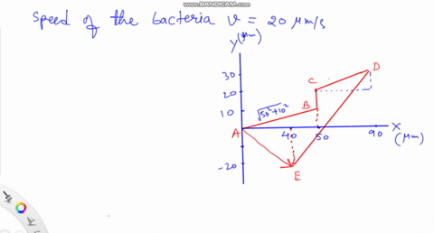 the-bacterium-escherichia-coli-or-e-coli-is-a-singlecelled-organism-that-lives-in-the-gut-of-healt-4