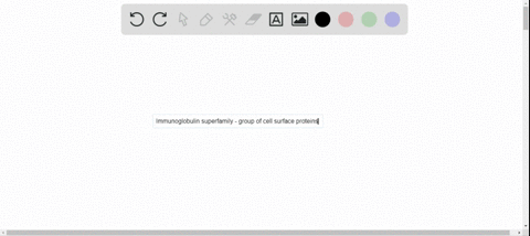 what-do-we-mean-by-the-term-immunoglobulin-superfamily-3