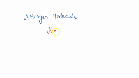 how-many-lone-pairs-are-present-in-nitrogen-molecule