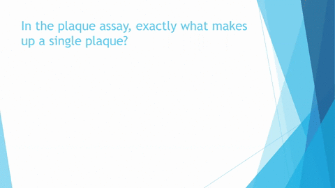 in-the-plaque-assay-exactly-what-makes-up-a-single-plaque
