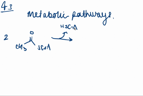 the-primary-fate-of-acetyl-coa-under-normal-metabolic-conditions-is-degradation-in-the-citric-acid-c