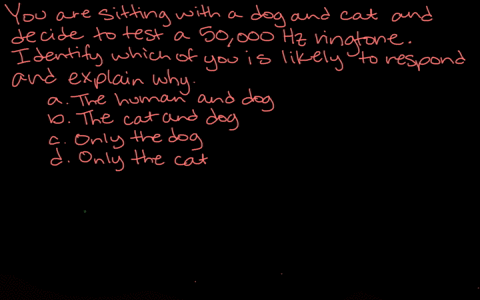 you-are-sitting-with-a-dog-and-a-cat-and-decide-to-test-a-50000-hz-ringtone-identify-which-of-you-is
