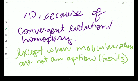 do-you-feel-the-phylogeny-generated-by-a-morphological-data-set-is-more-or-less-appropriate-as-compa
