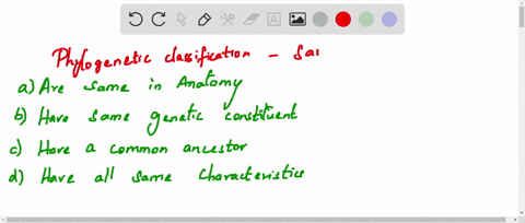 according-to-phylogenetic-classification-the-organisms-belonging-to-same-taxa-a-are-same-in-anatomy-