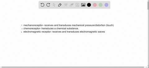 which-of-the-following-sensory-receptors-is-incorrectly-paired-with-its-category-a-hair-cell-mechano