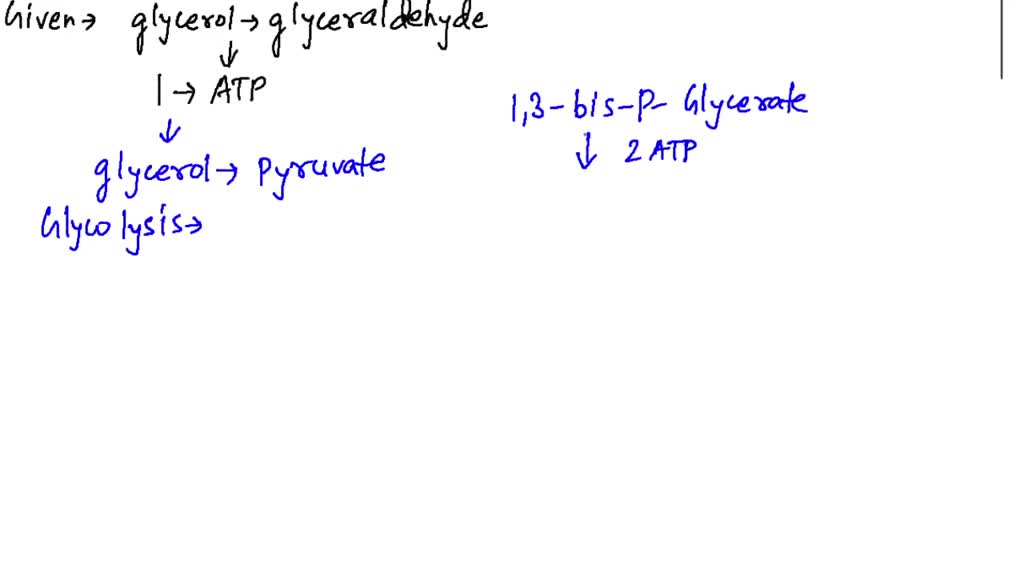 SOLVED:If the conversion of glycerol to glyceraldehyde 3-phosphate ...