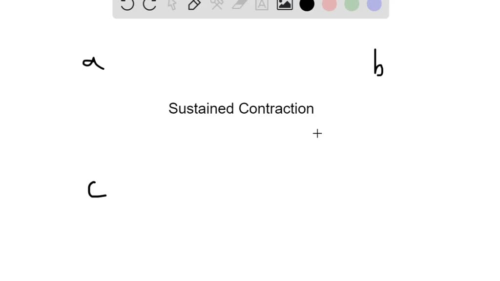 solved-a-smooth-sustained-contraction-resulting-from-very-rapid