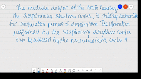 how-is-respiration-regulated