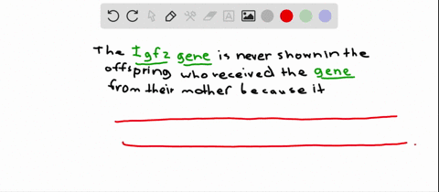 in-mice-the-allele-of-the-operatornameigf-2-gene-that-is-inherited-from-the-mother-is-never-expresse