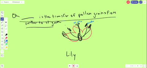 the-transfer-of-pollen-grains-from-anther-to-stigma-is-a-fertilization-b-double-fertilization-c-po-5