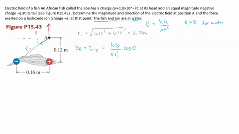 electric-field-of-a-fish-an-african-fish-called-the-aba-has-a-charge-q10-times-10-7-mathrmc-at-its-h