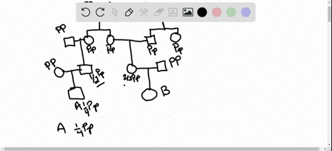 consider-the-accompanying-pedigree-of-a-rare-autosomal-recessive-disease-pku-1-ii-iv-a-list-the-geno