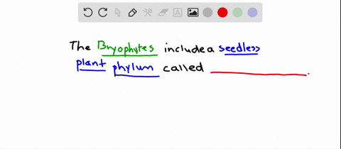 a-seedless-plant-phylum-that-is-included-in-the-informal-group-known-as-bryophytes-is-a-liverworts-b