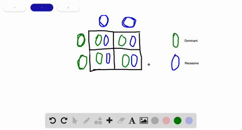 crossing-over-mixes-up-parental-______-a-chromosomes-b-alleles-c-zygotes-d-gametes