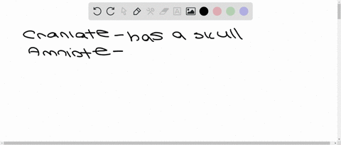 a-chimpanzee-is-a-___________-a-craniate-d-amniote-b-vertebrate-e-placental-mammal-c-hominoid-f-all-