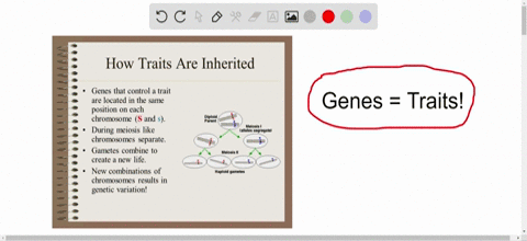 an-organisms-traits-are-determined-by-the-specific-combination-of-inherited____________-a-cells-b-ge