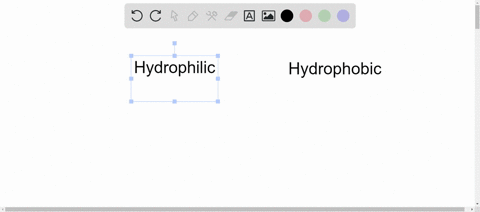 differentiate-between-hydrophilic-molecules-and-hydrophobic-molecules