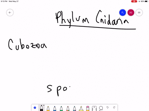 cubozoans-are-_____-a-polyps-b-medusoids-c-polymorphs-d-sponges