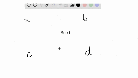 a-seed-protects-the-a-embryo-b-ovule-c-ovary-d-pollen-grain
