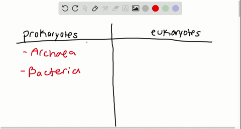 which-of-the-following-consist-of-prokaryotic-cells-a-bacteria-and-fungi-b-archaea-and-fungi-c-proti
