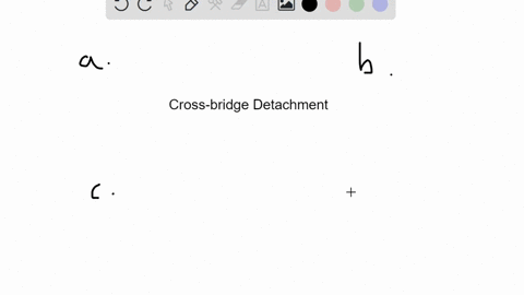 during-muscle-contraction-the-cross-bridge-detaches-when-__________-a-the-myosin-head-binds-to-an-ad