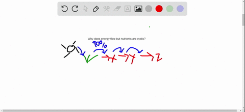 explain-why-energy-flows-but-chemicals-cycle-through-an-ecosystem-page-545