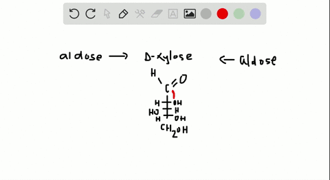 what-two-aldoses-yield-smallmathrmd-xylose-on-wohl-degradation