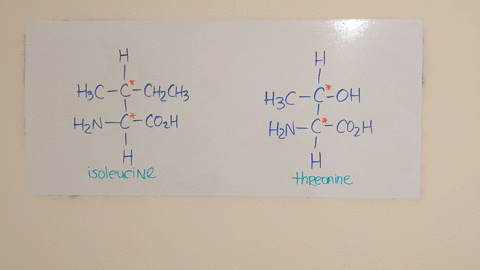 which-of-the-amino-acids-in-fig-2218-contain-more-than-one-chiral-carbon-atom-draw-the-structures-of