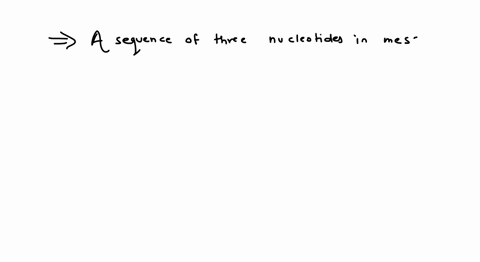 a-sequence-of-how-many-nucleotides-in-messenger-rna-makes-a-codon-for-an-amino-acid-a-one-b-two-c-th