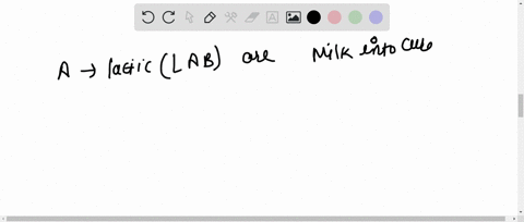 choose-the-correct-option-with-regard-to-statement-mathrma-and-mathrmb-a-lactic-acid-bacteria-lab-ar