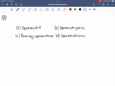 sperms-are-synonymous-with-a-spermatid-b-spermatogonia-c-primary-spermatocyte-d-spermatozoa