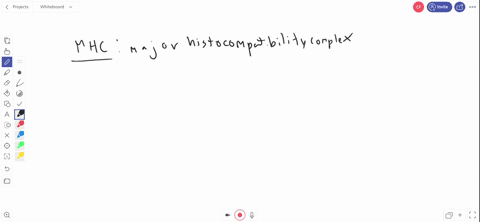 the-major-histocompatibility-complex-mhc-a-consists-of-y-shaped-molecules-b-encodes-certain-antibo-2