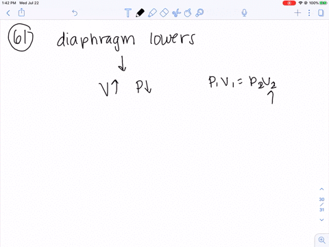 chemical-connections-5-a-what-happens-when-a-person-lowers-the-diaphragm-in-his-or-her-chest-cavit-3