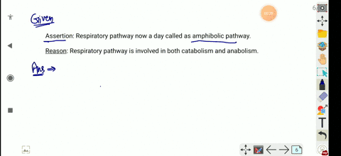 assertion-respiratory-pathway-now-a-day-called-as-amphibolic-pathway-reason-respiratory-pathway-is-i