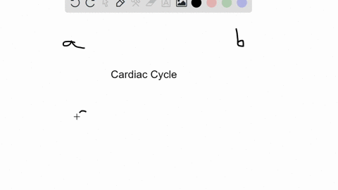 the-first-heart-sound-represents-which-portion-of-the-cardiac-cycle-a-atrial-systole-b-ventricular-s