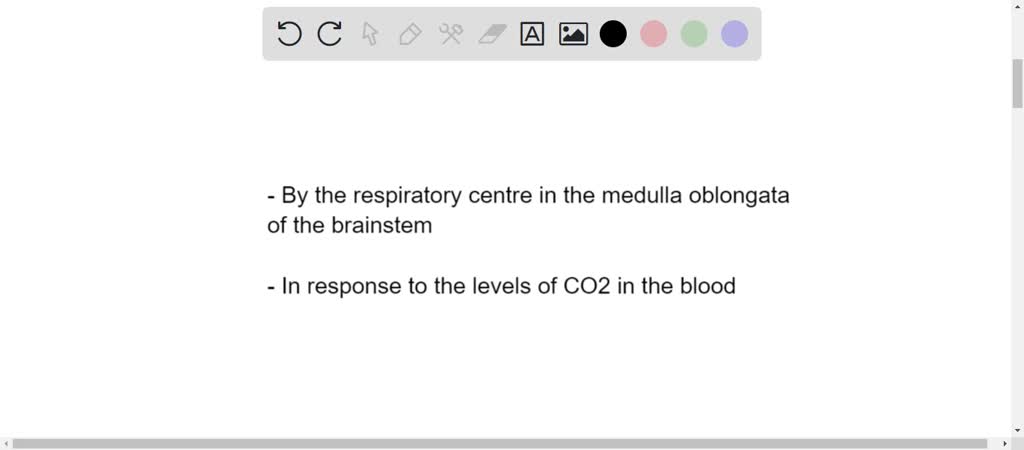 SOLVED:What is respiratory rate and how is it controlled?