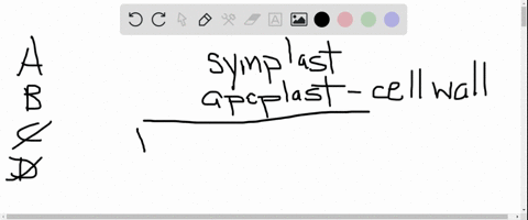 Solved:which Structure Or Compartment Is Part Of The Symplast? (A) The  Interior Of A Vessel Element (B) The Interior Of A Sieve Tube (C) The Cell  Wall Of A Mesophyll Cell (D) Solved:which Structure Or Compartment Is Part Of The Symplast? (A) The  Interior Of A Vessel Element (B) The Interior Of A Sieve Tube (C) The Cell  Wall Of A Mesophyll Cell (D)