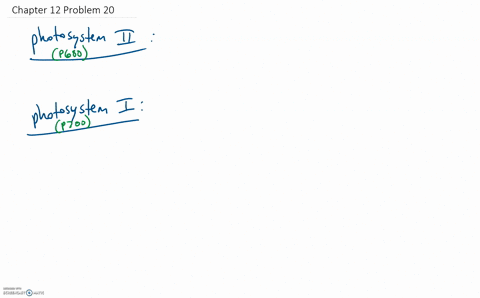 chloroplasts-contain-two-photosystems-what-is-the-function-of-each-for-linear-electron-flow-diagra-2