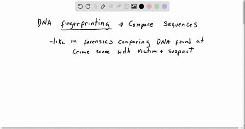 dna-fingerprinting-is-used-a-to-precisely-identify-an-organism-such-as-the-identification-of-specifi