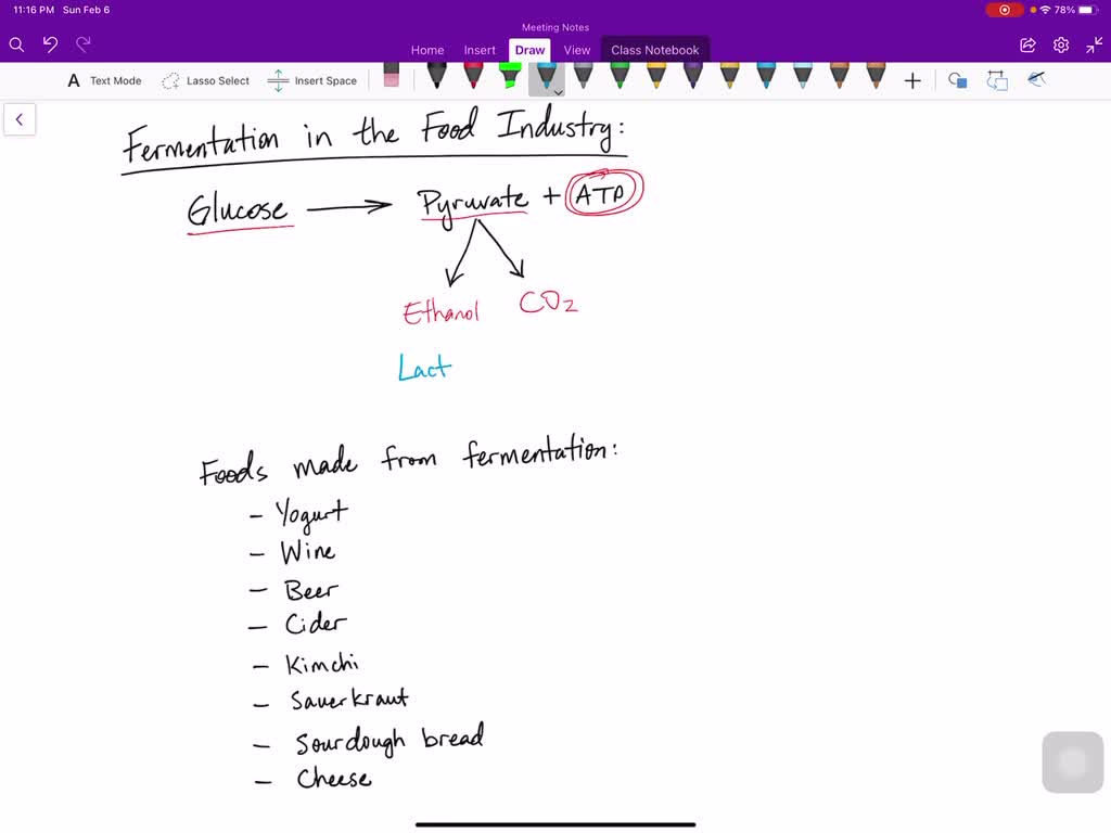 solved-why-is-food-processing-necessary-explain-with-suitable-examples