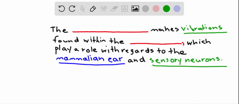 vibrations-of-the-_______-located-within-the-________-bend-stereocilia-in-the-mammalian-ear-and-acti