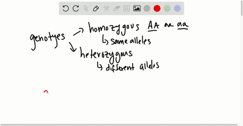 which-statement-about-an-individual-that-is-homozygous-for-an-allele-is-not-true-a-each-of-its-cel-2