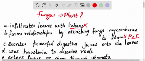 when-a-fungus-infects-a-plant-it-a-infiltrates-leaves-with-lichens-b-forms-relationships-by-attach-3