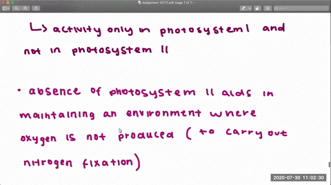 blue-green-algae-cyanobacteria-form-heterocysts-when-deprived-of-ammonia-and-nitrate-in-this-form-th