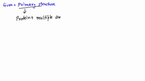 what-is-the-primary-structure-of-a-protein